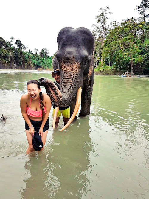 elephant kissing a woman at an elephant sanctuary in thailand
